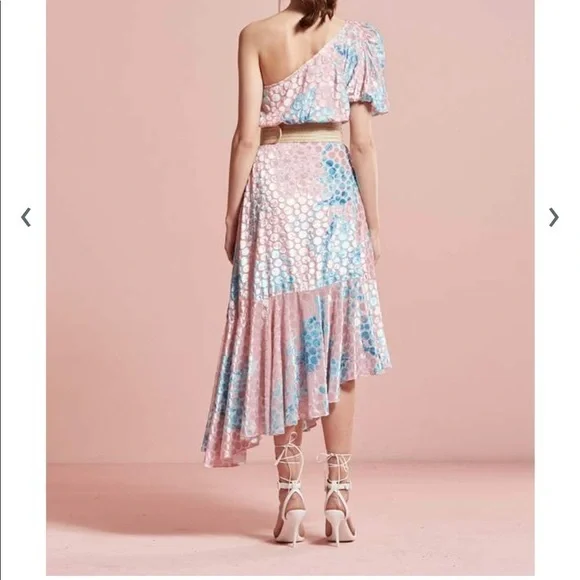 Hermant & Nandita Size Medium Dress - Picture 5 of 12